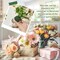 24 Pcs Mini Floral Foam Holder Round Floral Foam with Green Arrangement Wire Arrangement Supplies for Table Wedding Wine Bottle Decor